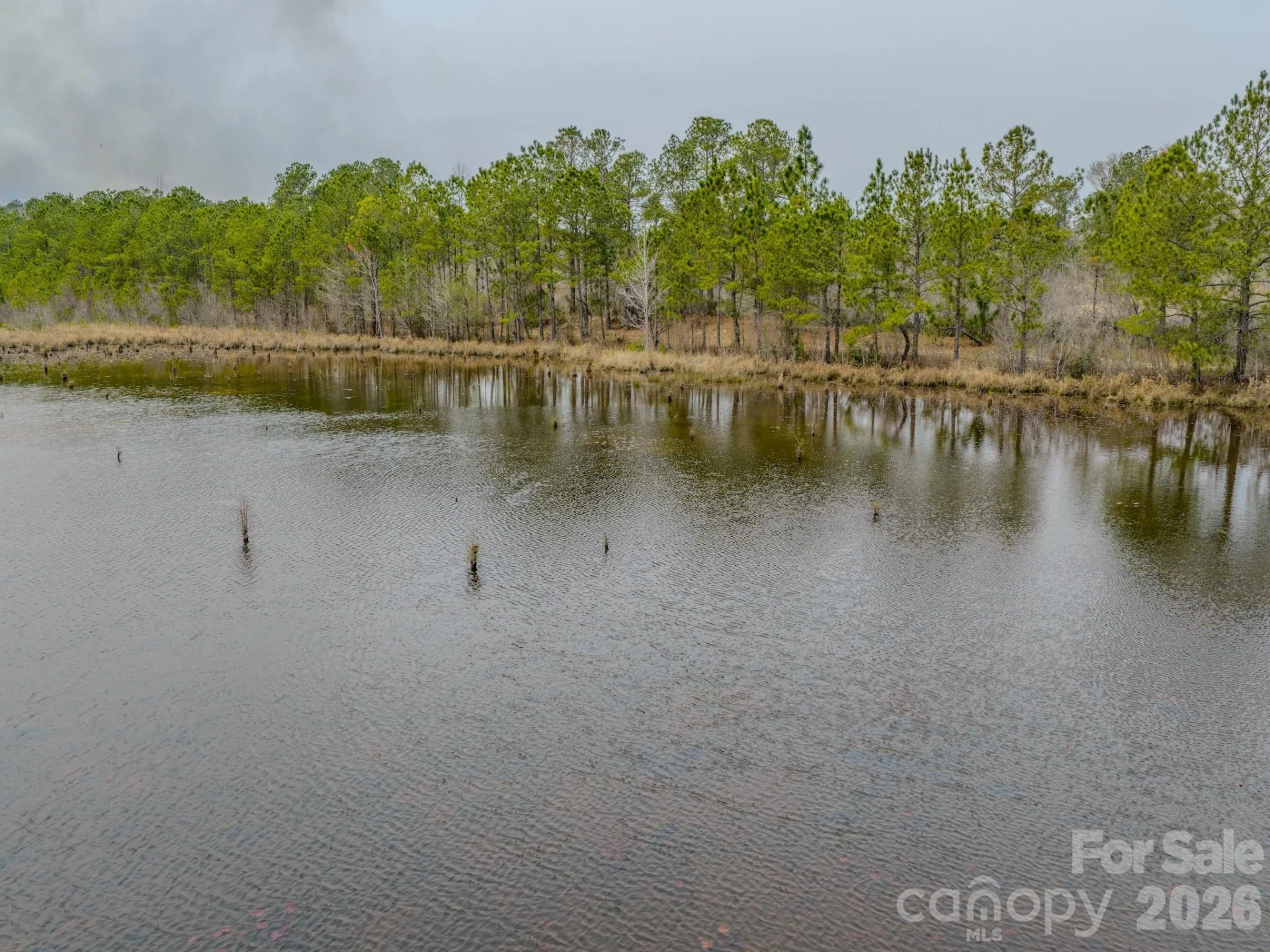 0 Lobelia Road - Photo 34