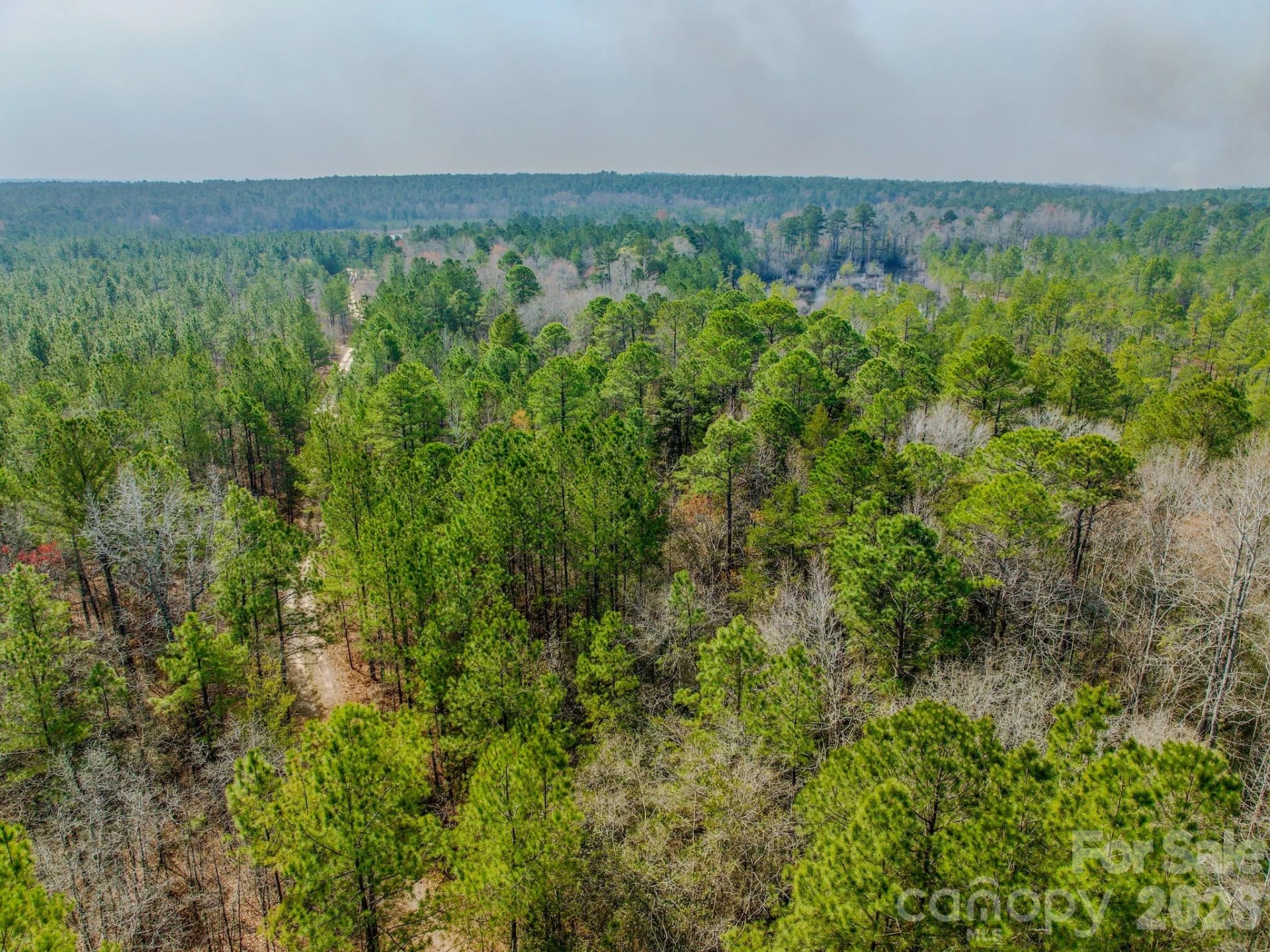 0 Lobelia Road - Photo 44
