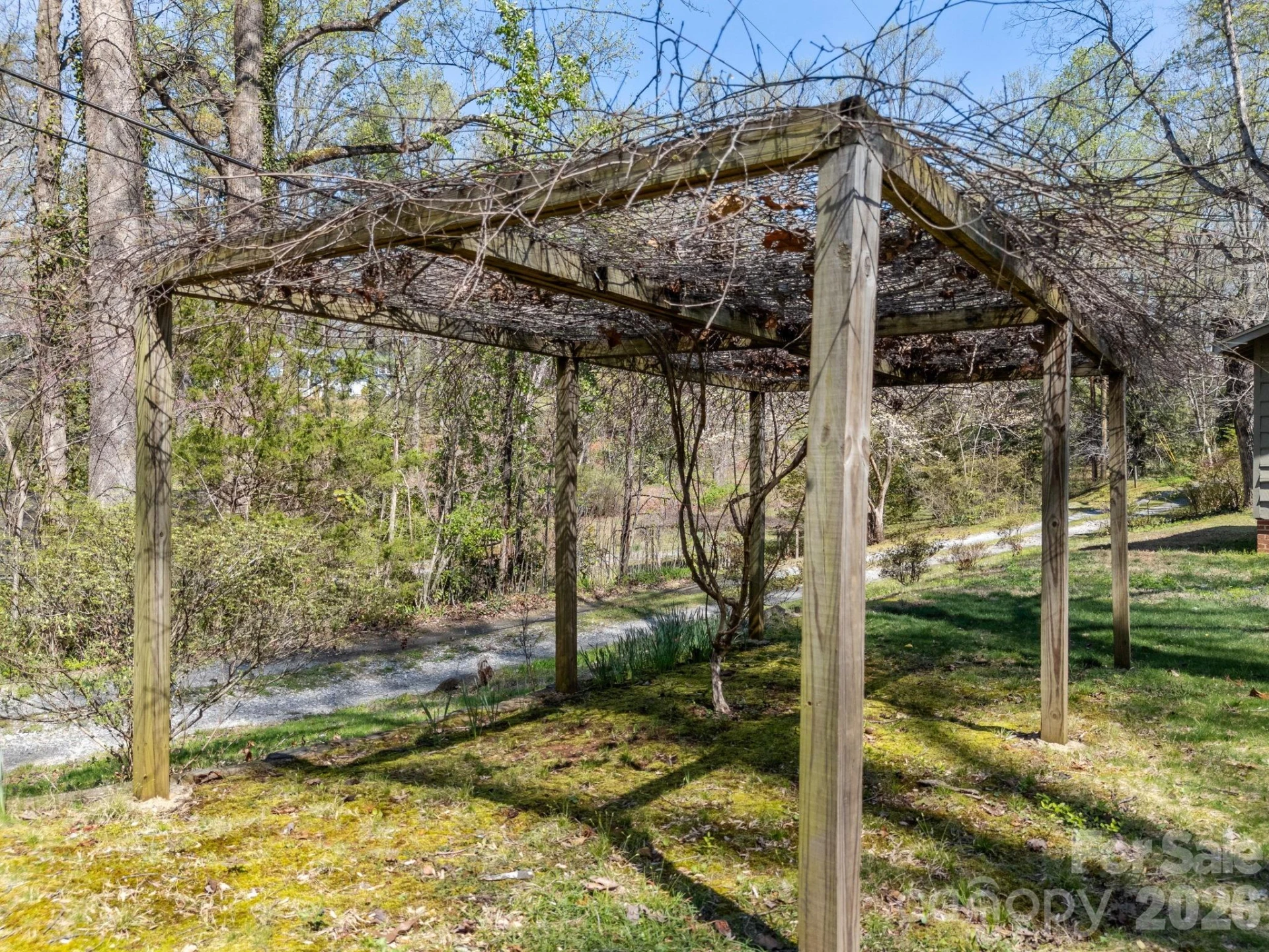 7 Rippy Hill Lane - Photo 19