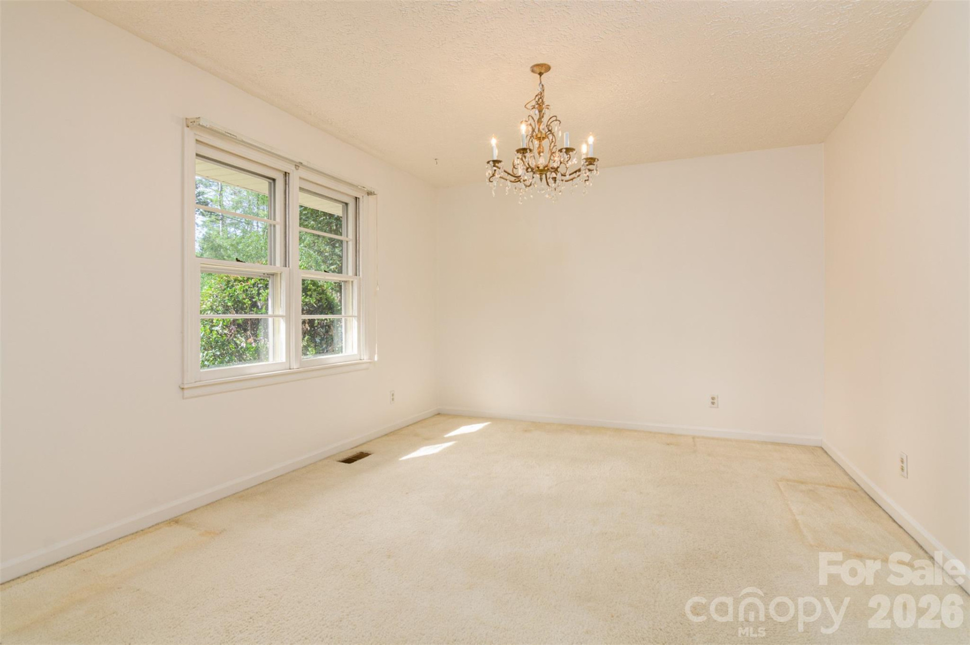 261 Cedar Lane - Photo 11