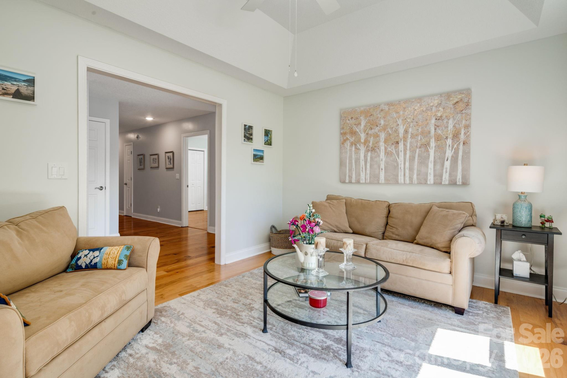 323 Daylily Drive - Photo 7