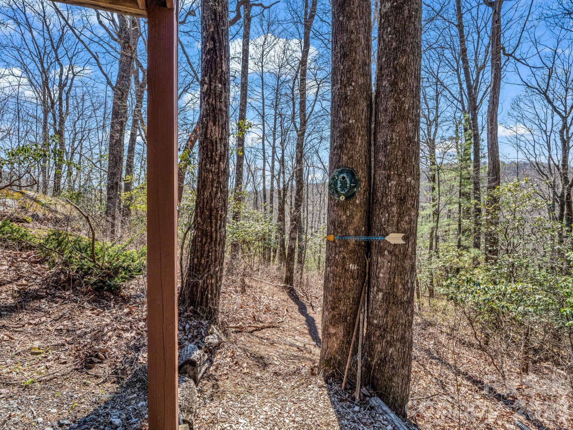 218 Frazier Road - Photo 41