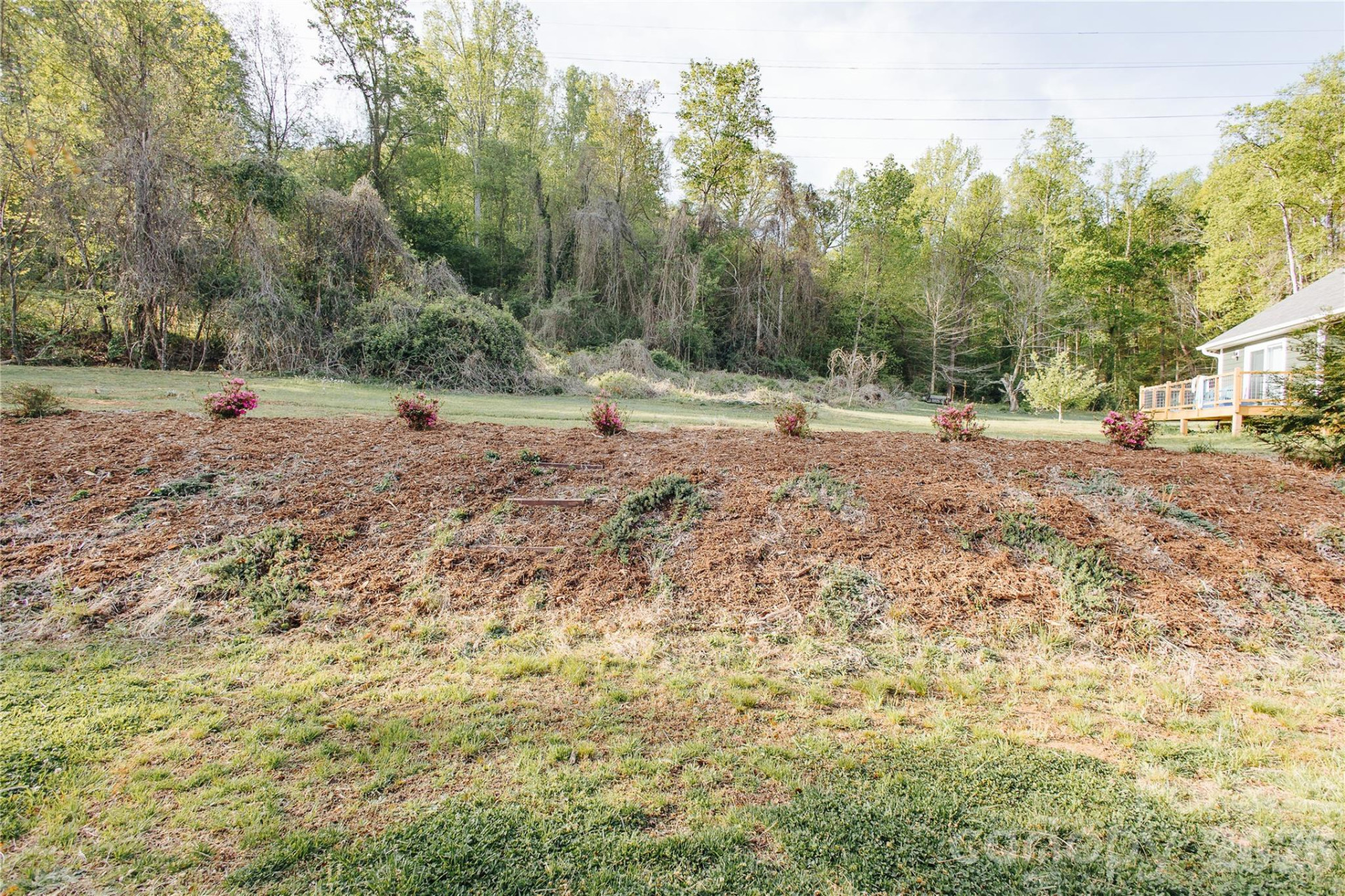 62 Glenview Street - Photo 29