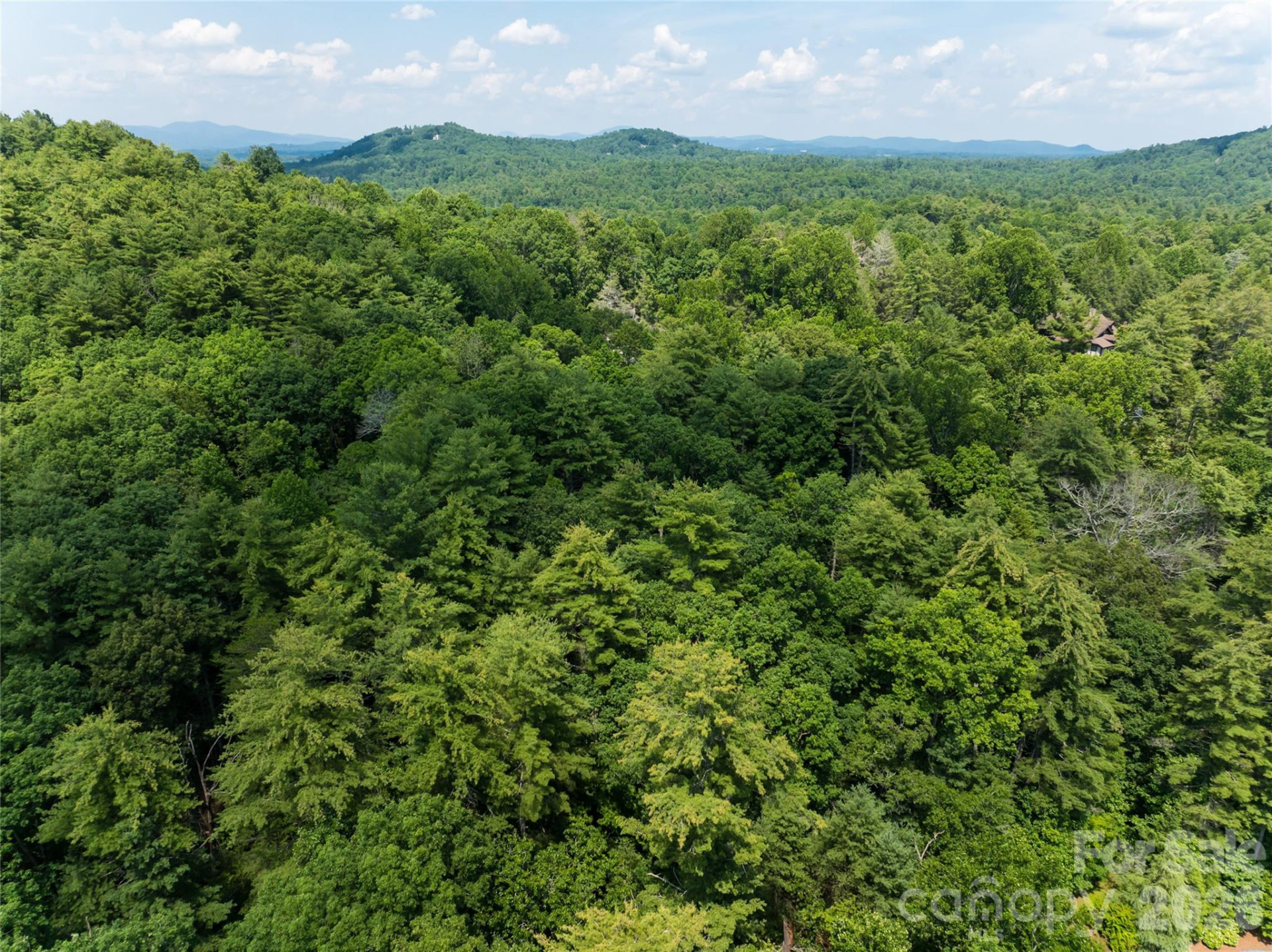 34 Oak Gate Drive - Photo 5