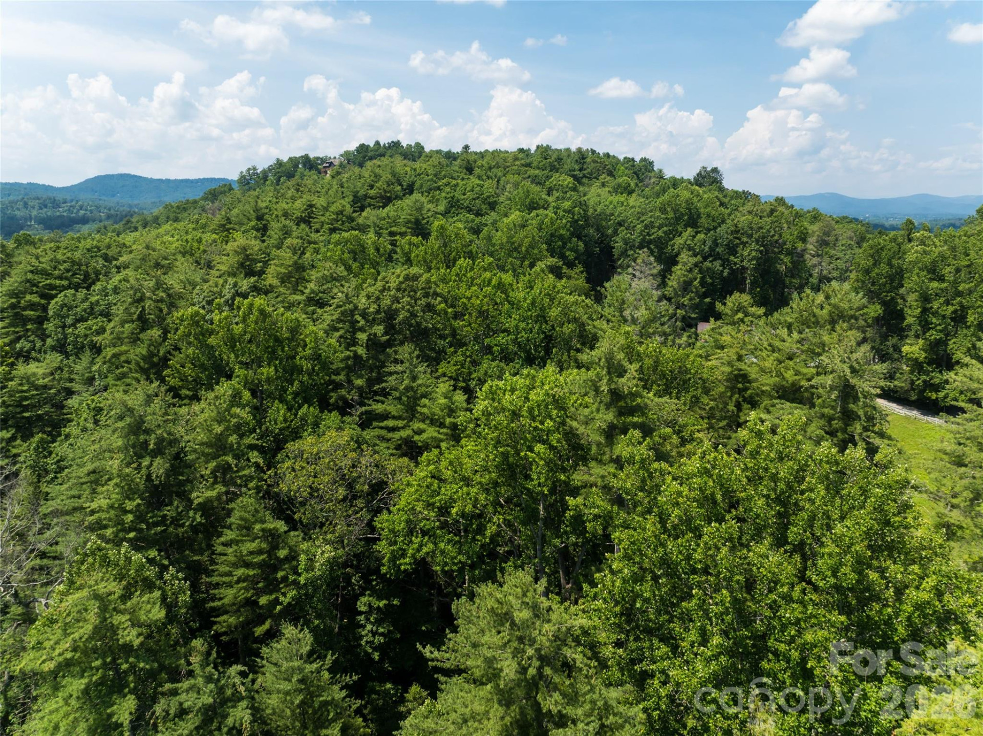 34 Oak Gate Drive - Photo 6