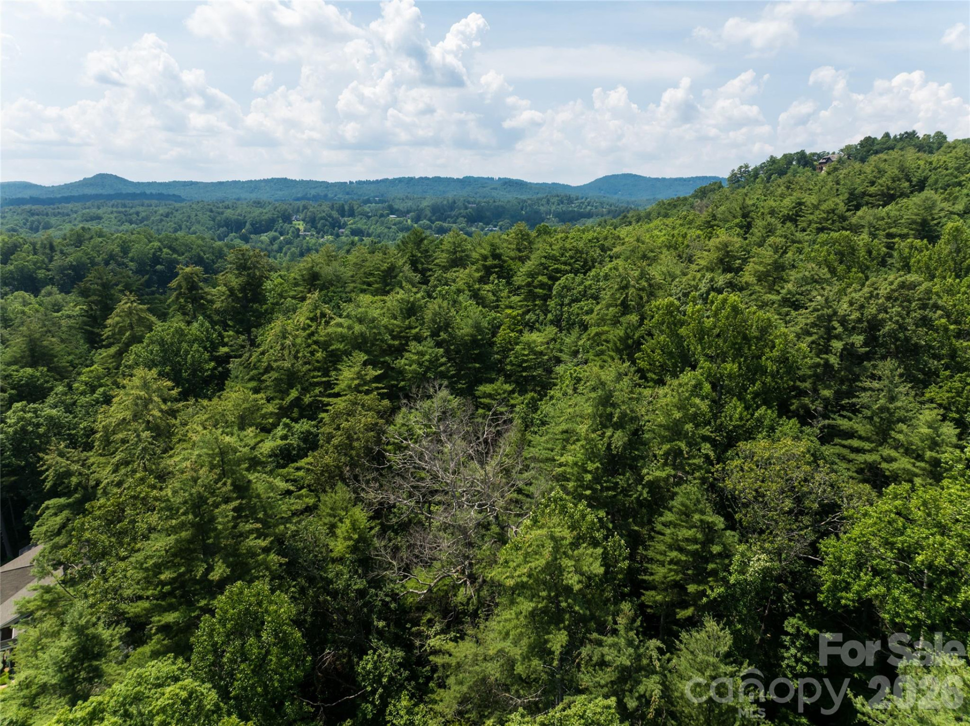 34 Oak Gate Drive - Photo 8