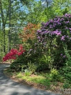 2276 Nature Lane - Photo 4