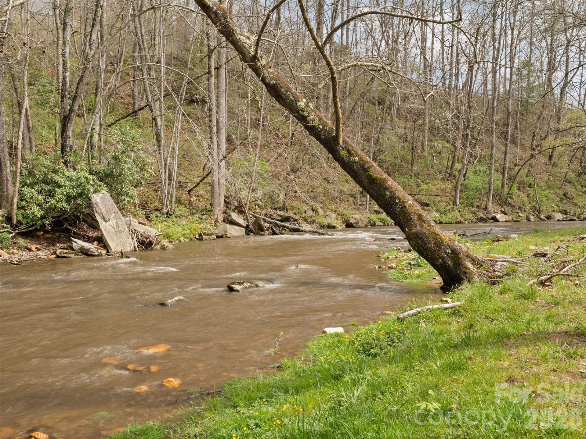 44 Rapid Waters Way - Photo 24