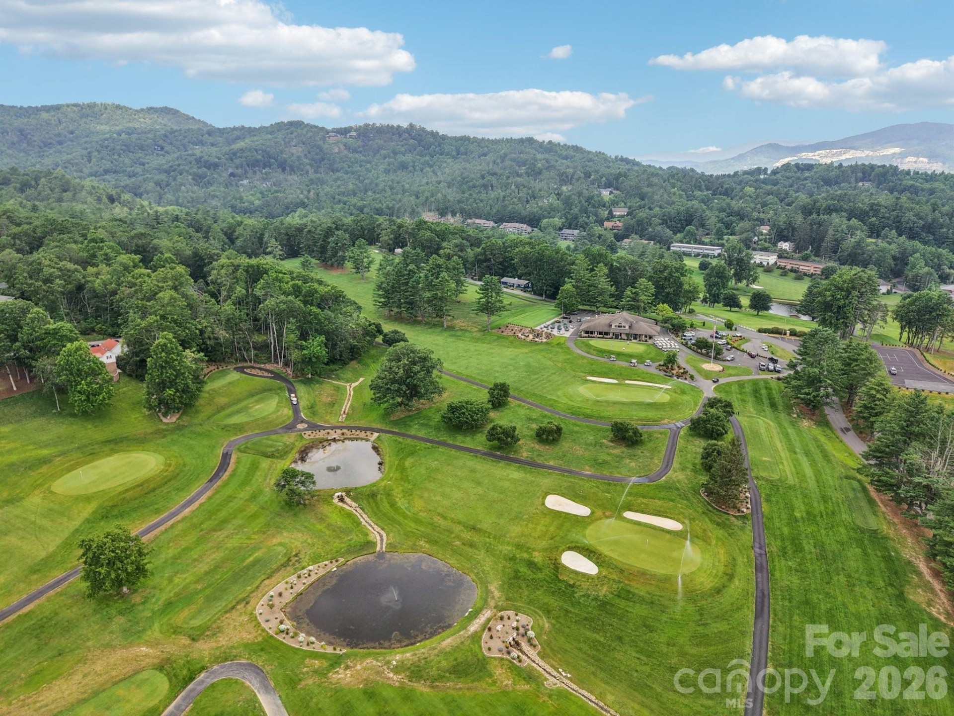 1063 Swiss Pine Lake Drive - Photo 29