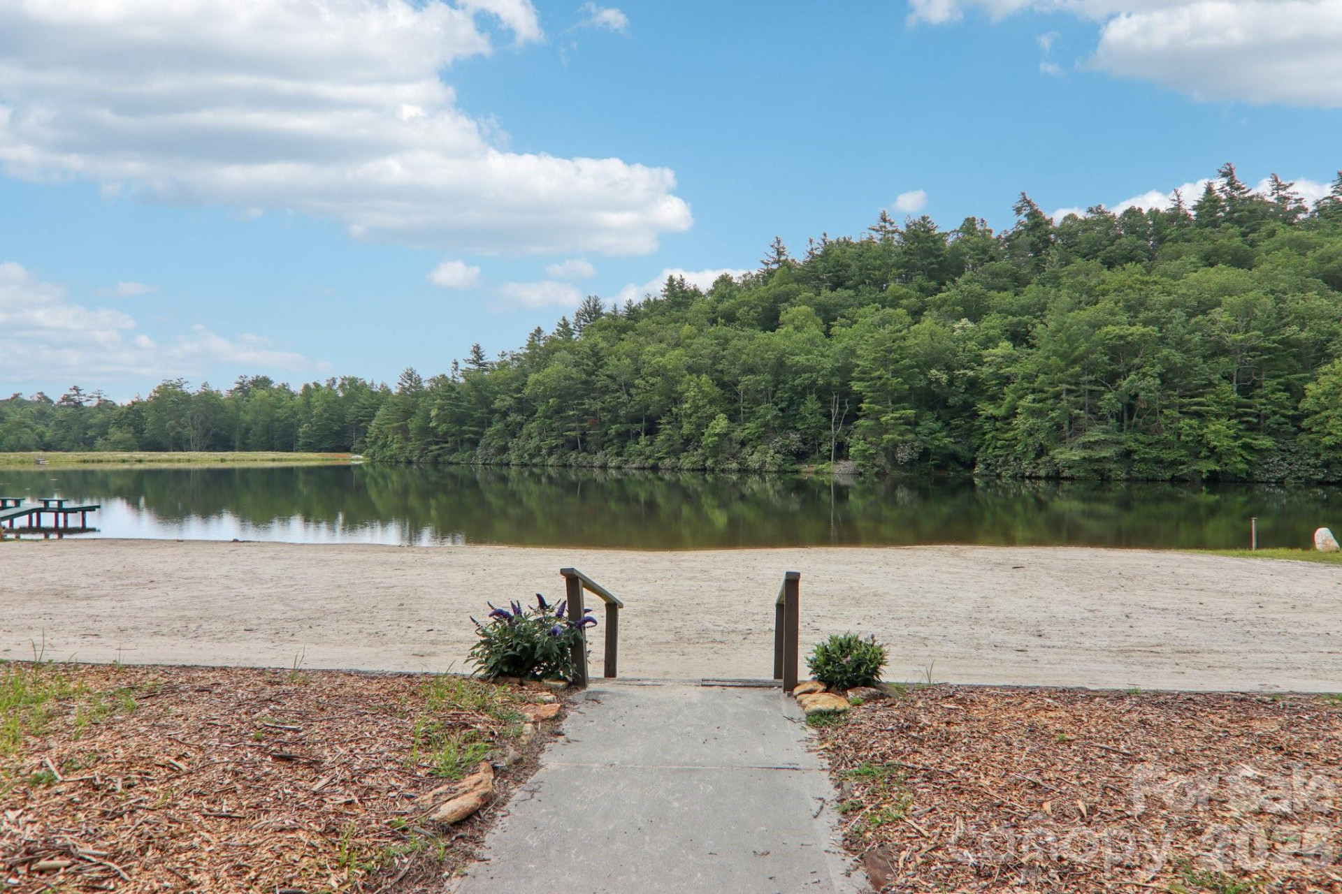 1063 Swiss Pine Lake Drive - Photo 30