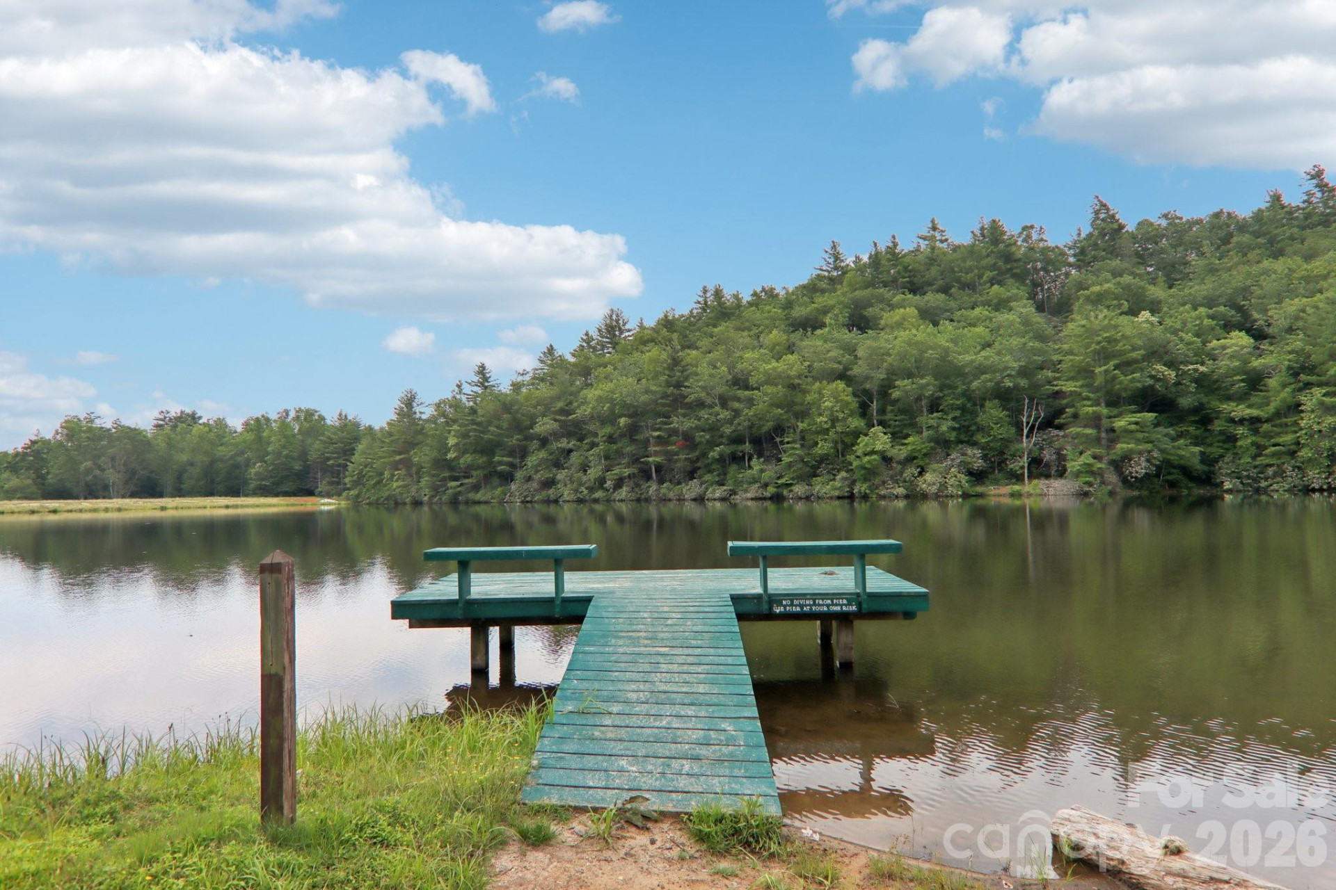 1063 Swiss Pine Lake Drive - Photo 33