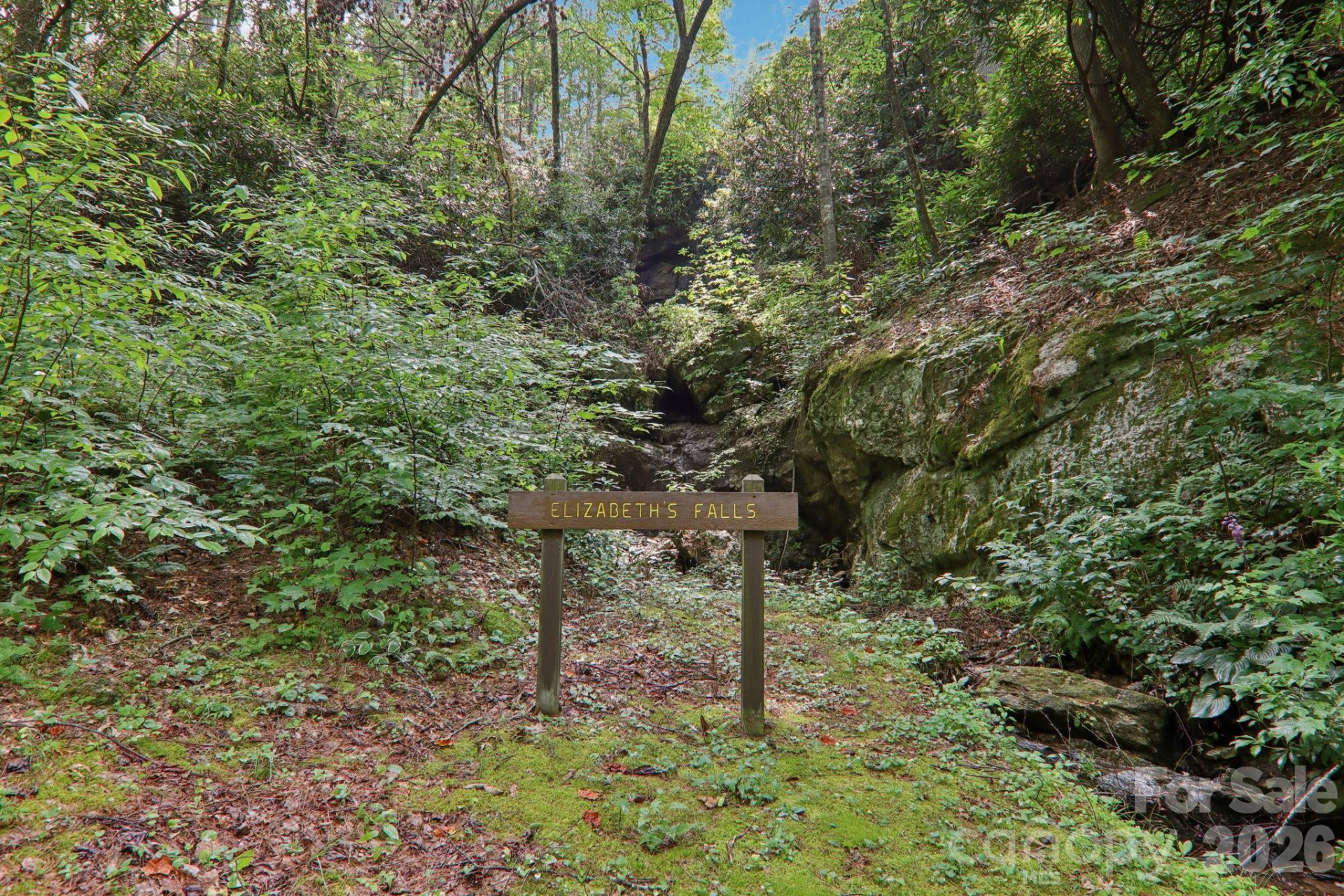 1063 Swiss Pine Lake Drive - Photo 37