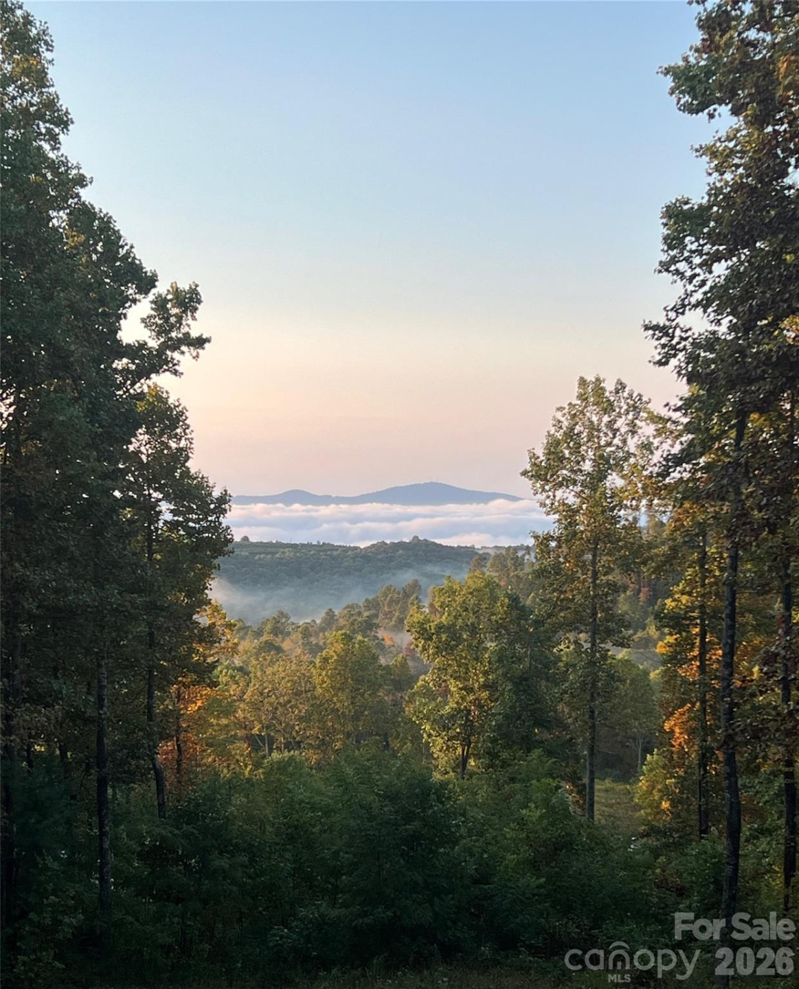 220 Simply Grateful Drive - Photo 17