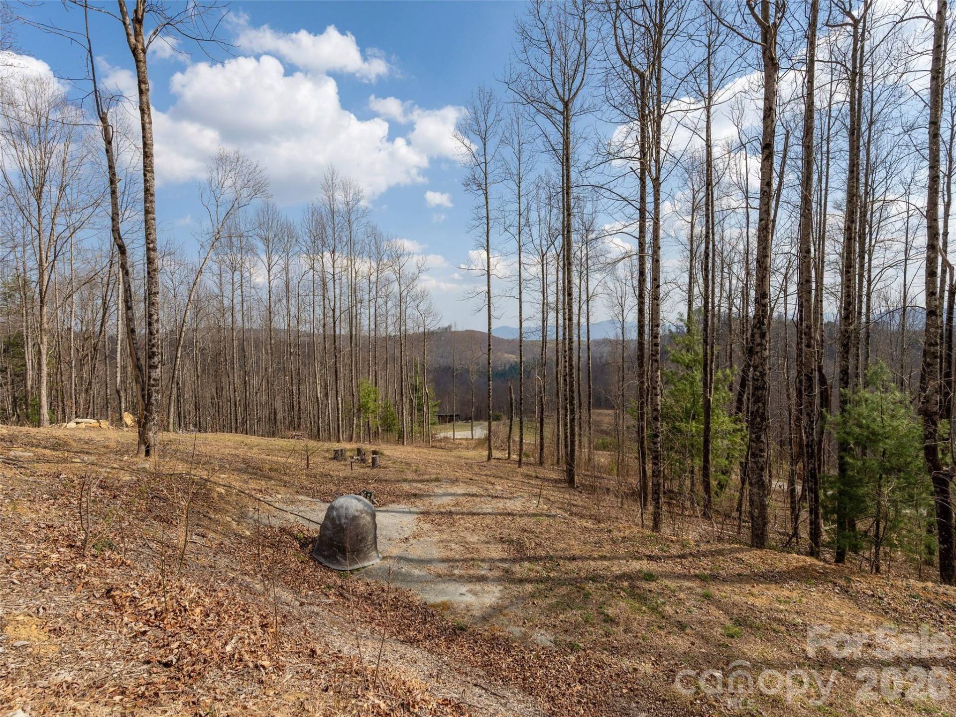 220 Simply Grateful Drive - Photo 4