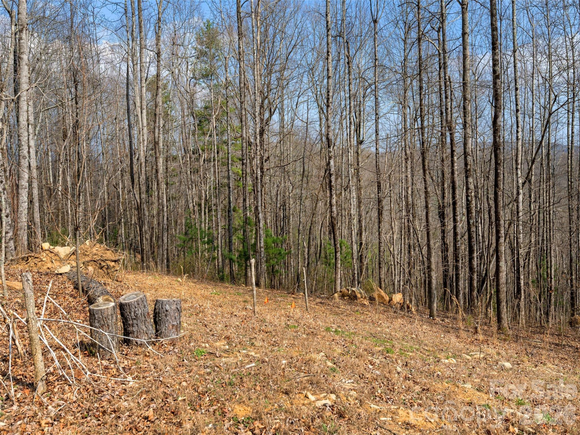 220 Simply Grateful Drive - Photo 7