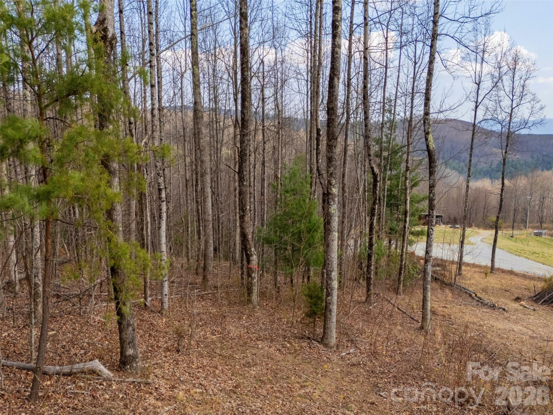 220 Simply Grateful Drive - Photo 8