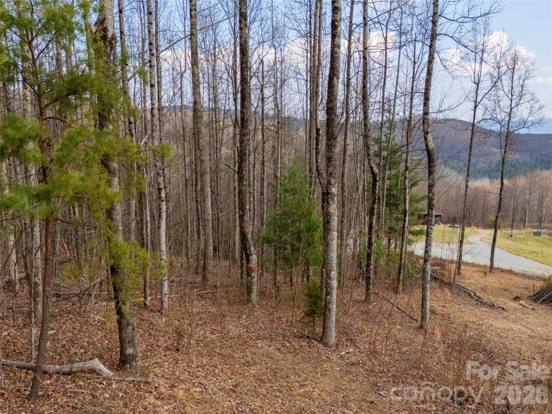 220 Simply Grateful Drive - Photo 8