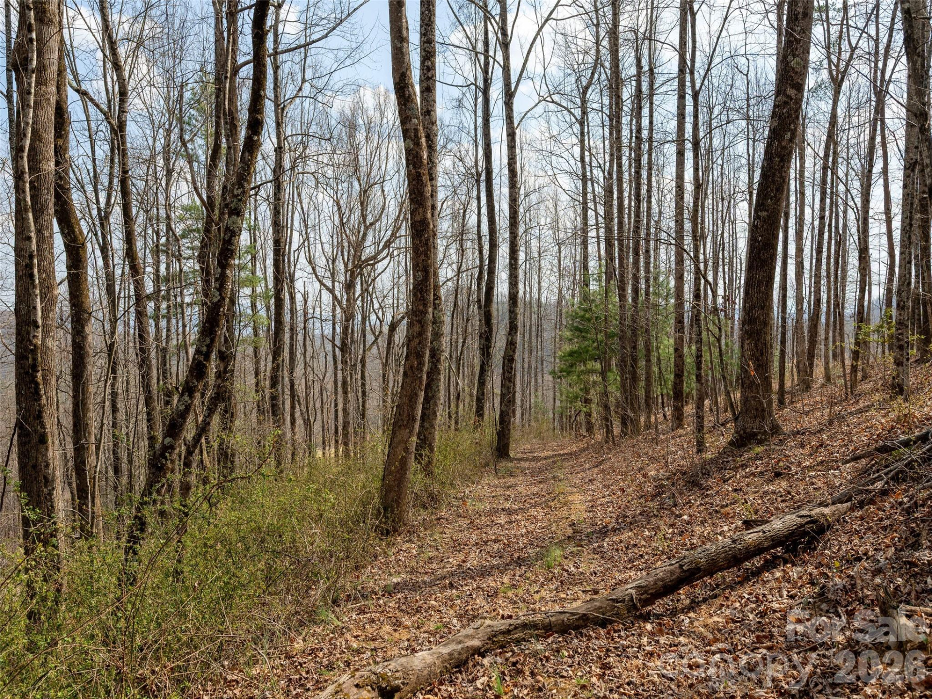 220 Simply Grateful Drive - Photo 9