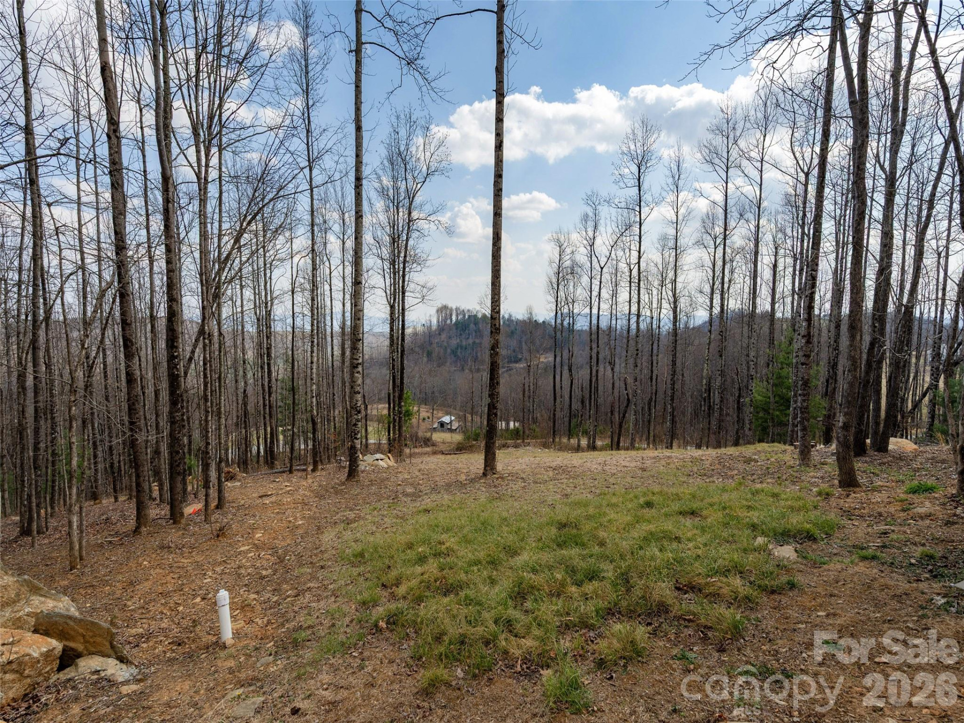 220 Simply Grateful Drive - Photo 10