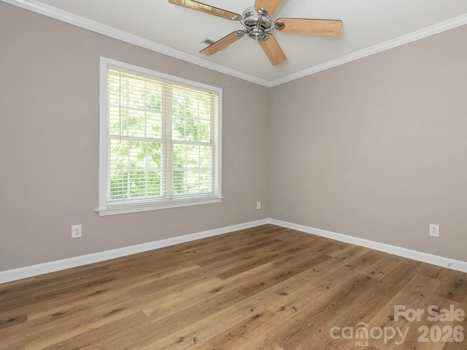 11709 Borchetta Drive - Photo 15