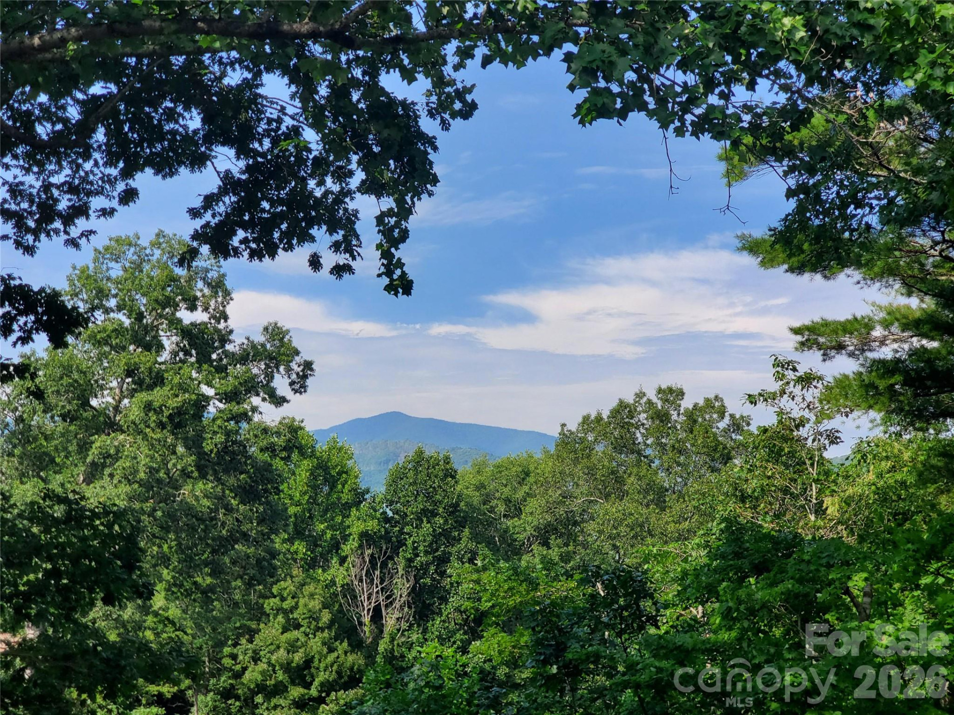 294 Martha Drive - Photo 35