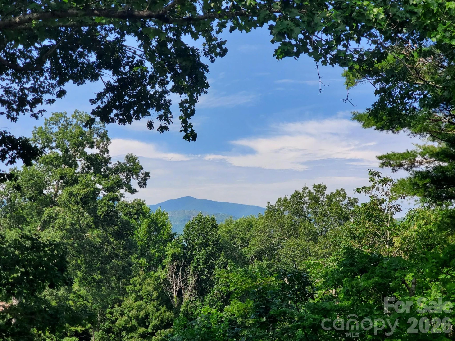 294 Martha Drive - Photo 35