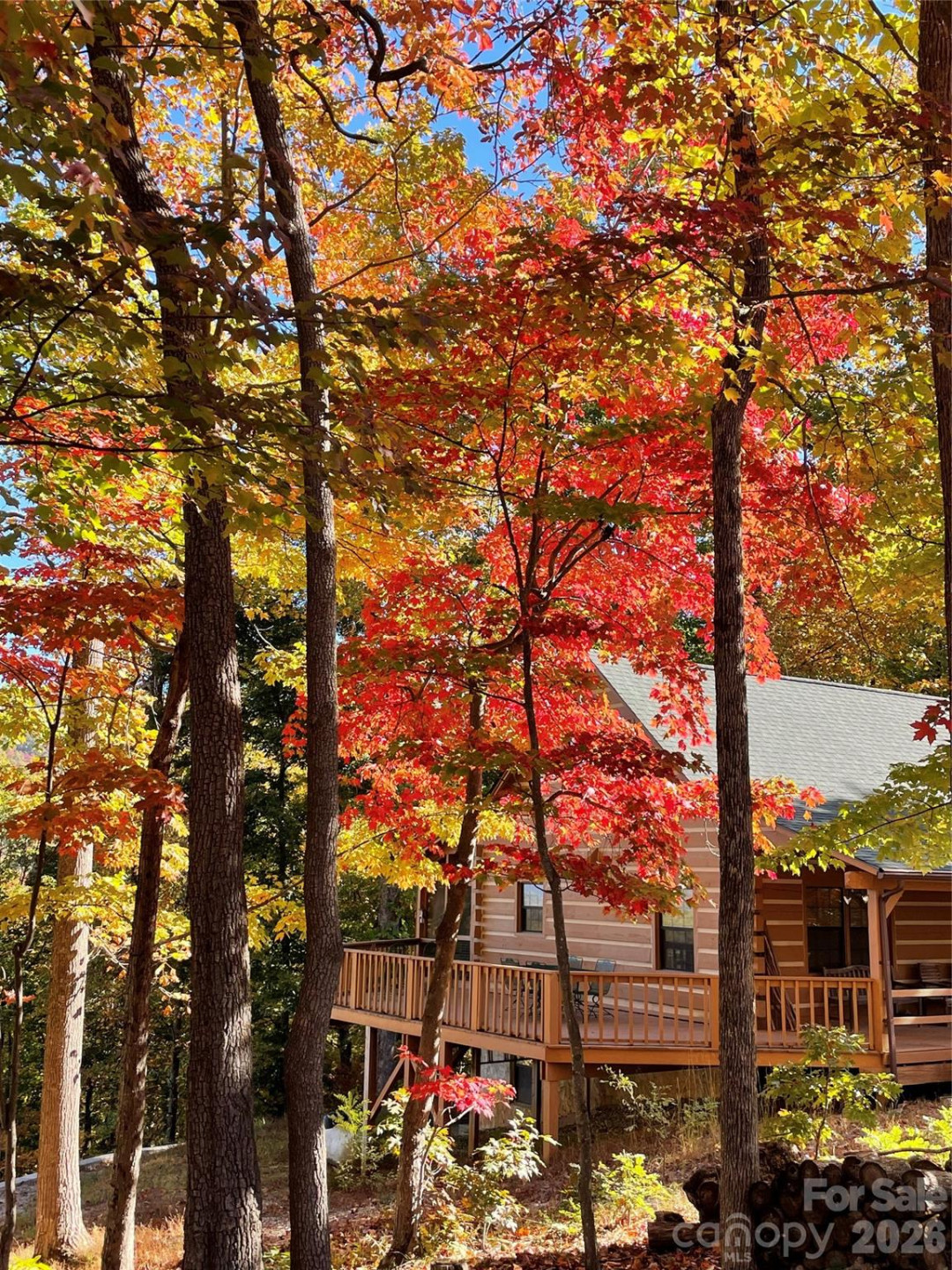 178 Tablerock Drive - Photo 7