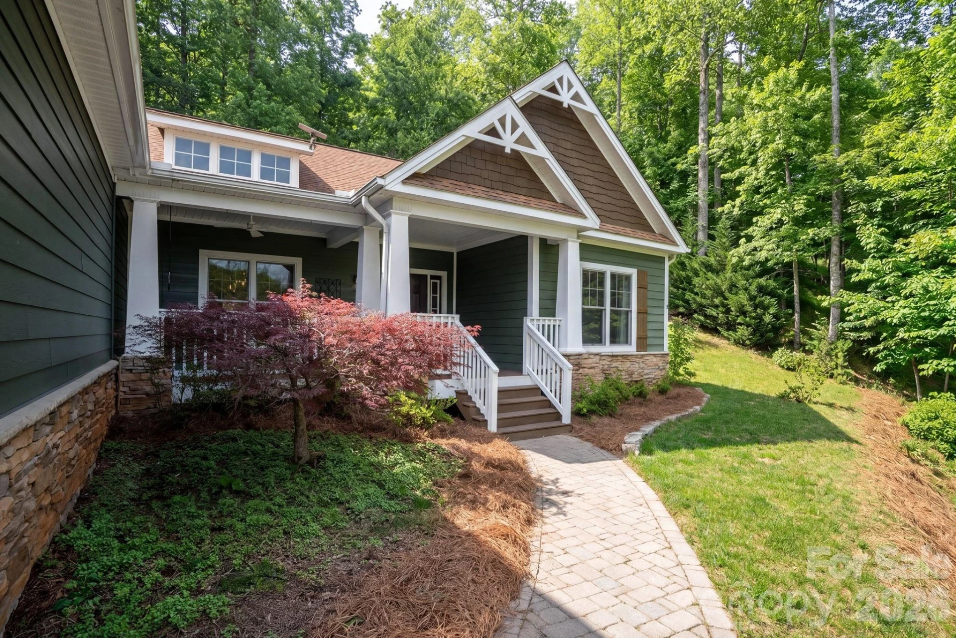 455 Blue Mist Way - Photo 3
