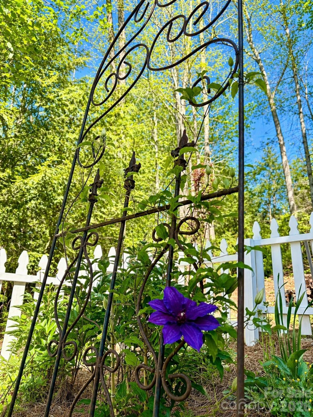 20 Bent Oak Lane - Photo 47