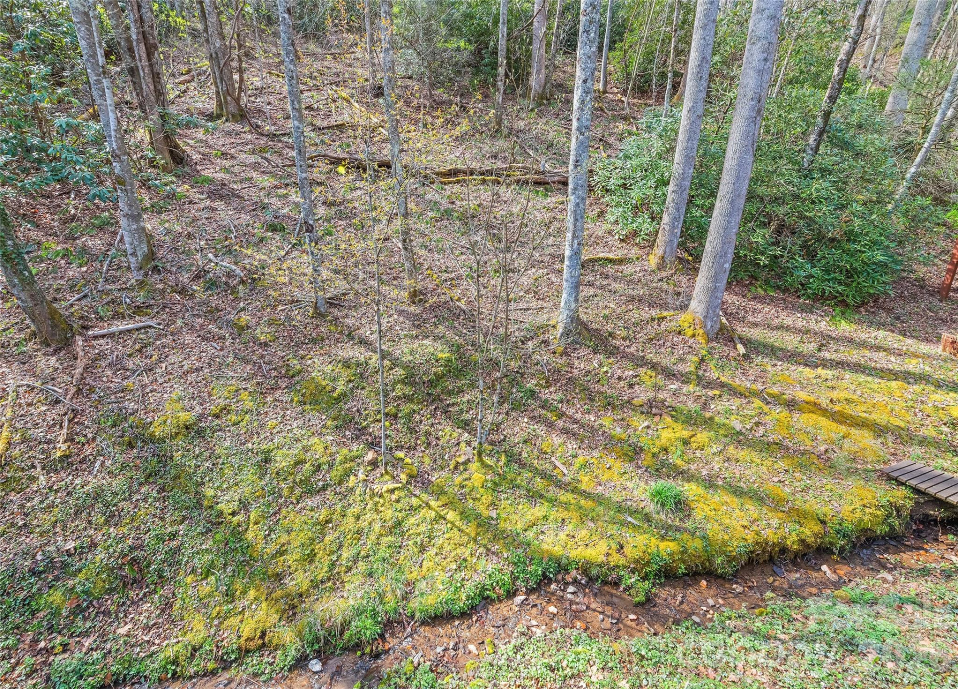 41 Trapper Lane - Photo 30