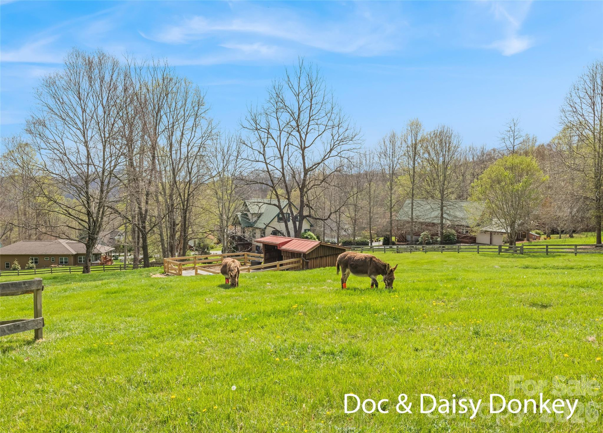 41 Trapper Lane - Photo 35