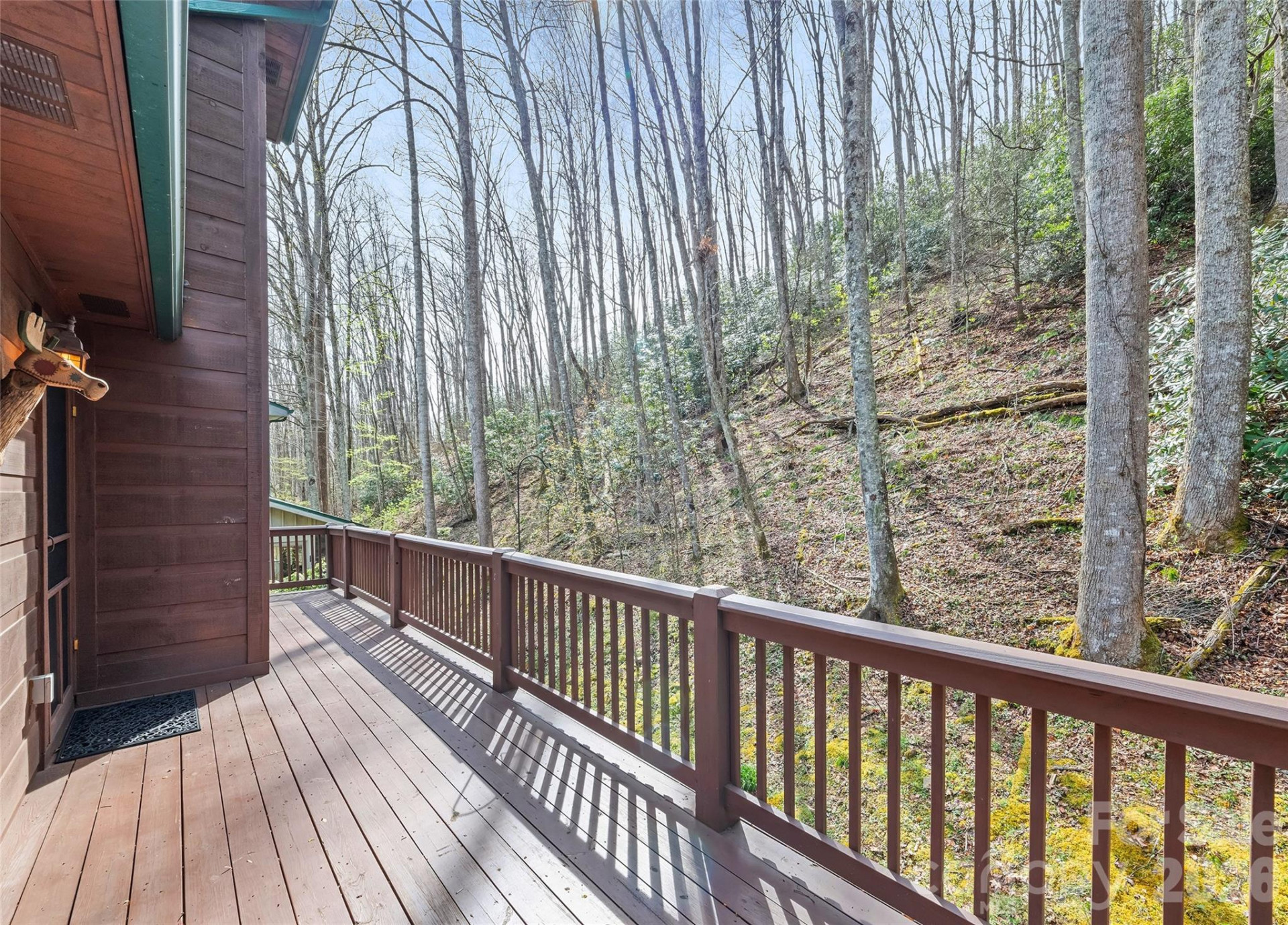 41 Trapper Lane - Photo 5