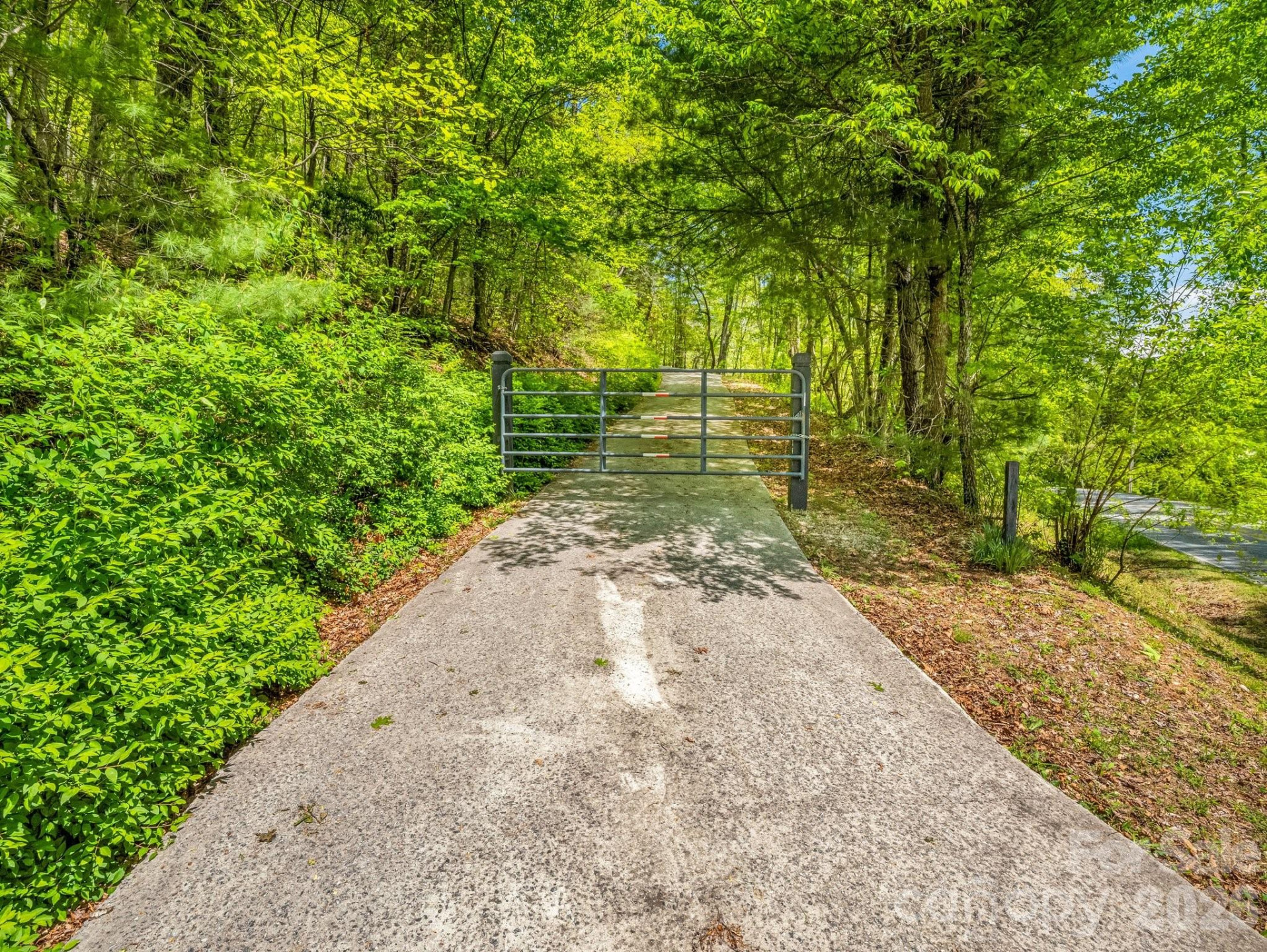 2304 Mountain Page Road - Photo 33