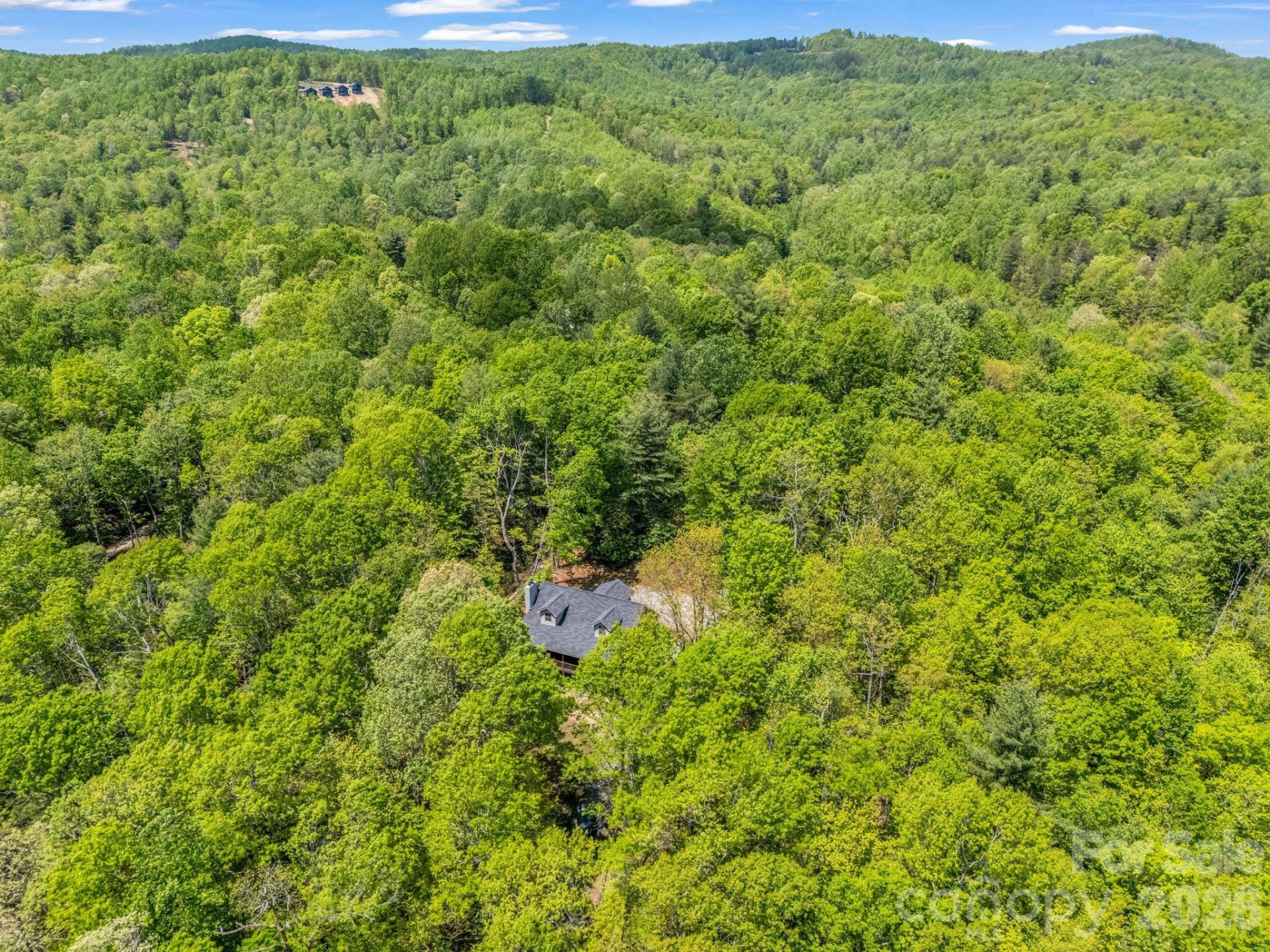 2304 Mountain Page Road - Photo 34