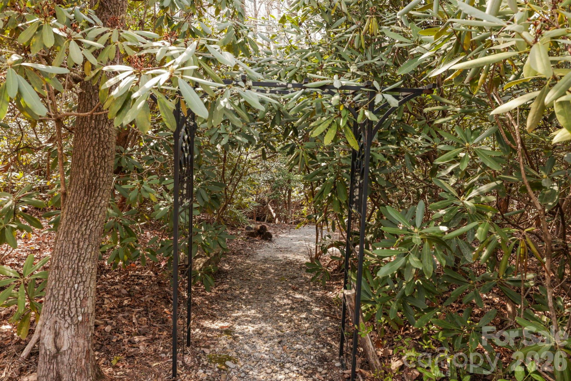 100 Elmridge Drive - Photo 6