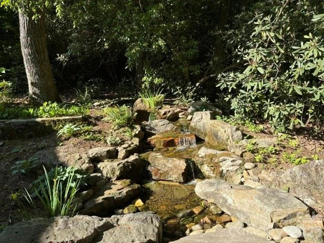 100 Elmridge Drive - Photo 5