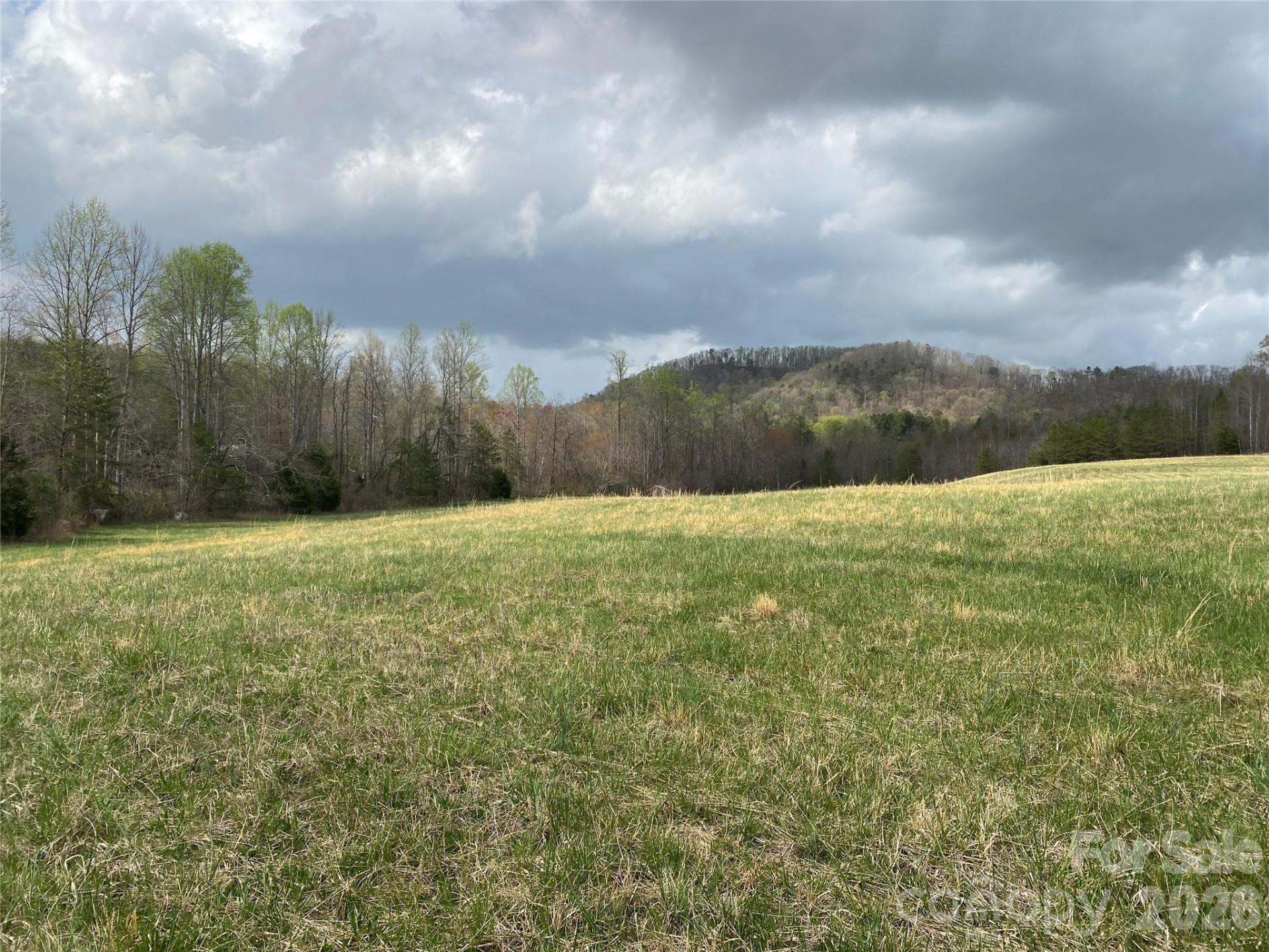 00 Cane Creek Mountain Road #2 - Photo 3