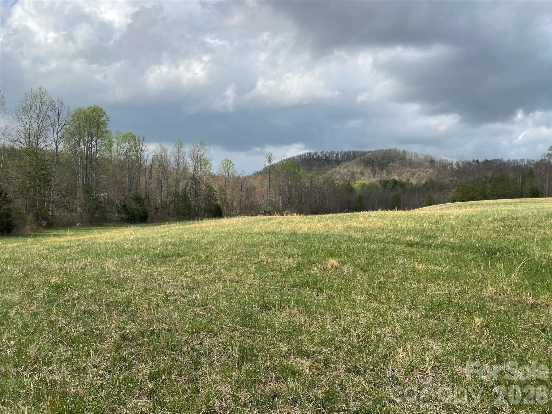00 Cane Creek Mountain Road #2 - Photo 3