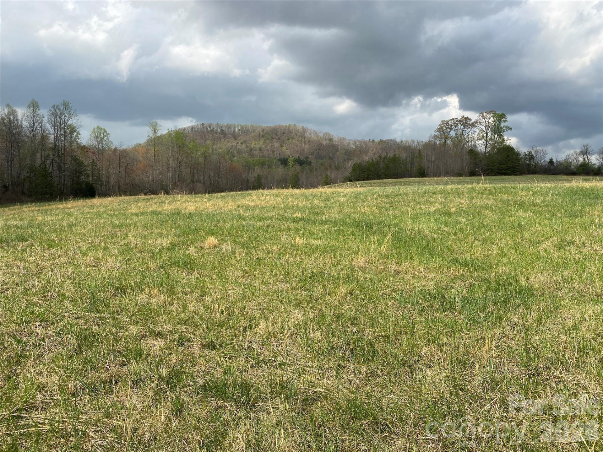 00 Cane Creek Mountain Road #2 - Photo 5