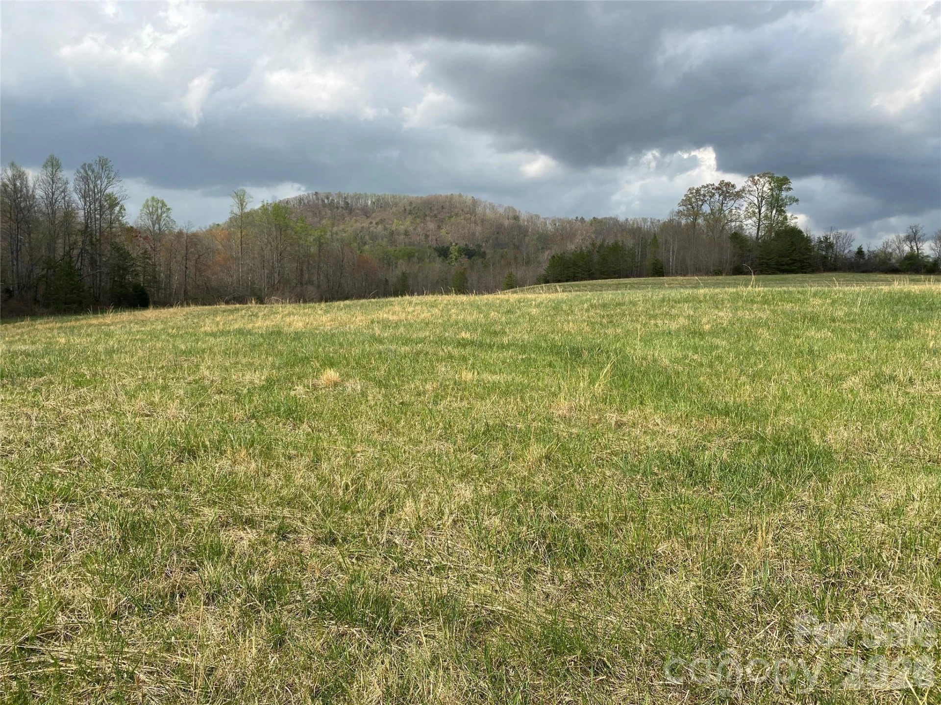 00 Cane Creek Mountain Road #2 - Photo 5