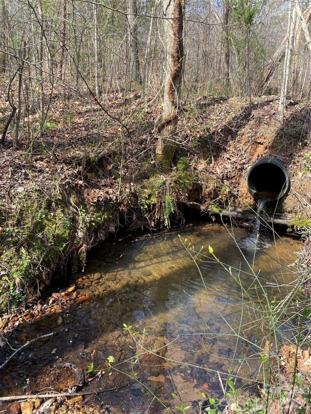 00 Cane Creek Mountain Road #2 - Photo 6