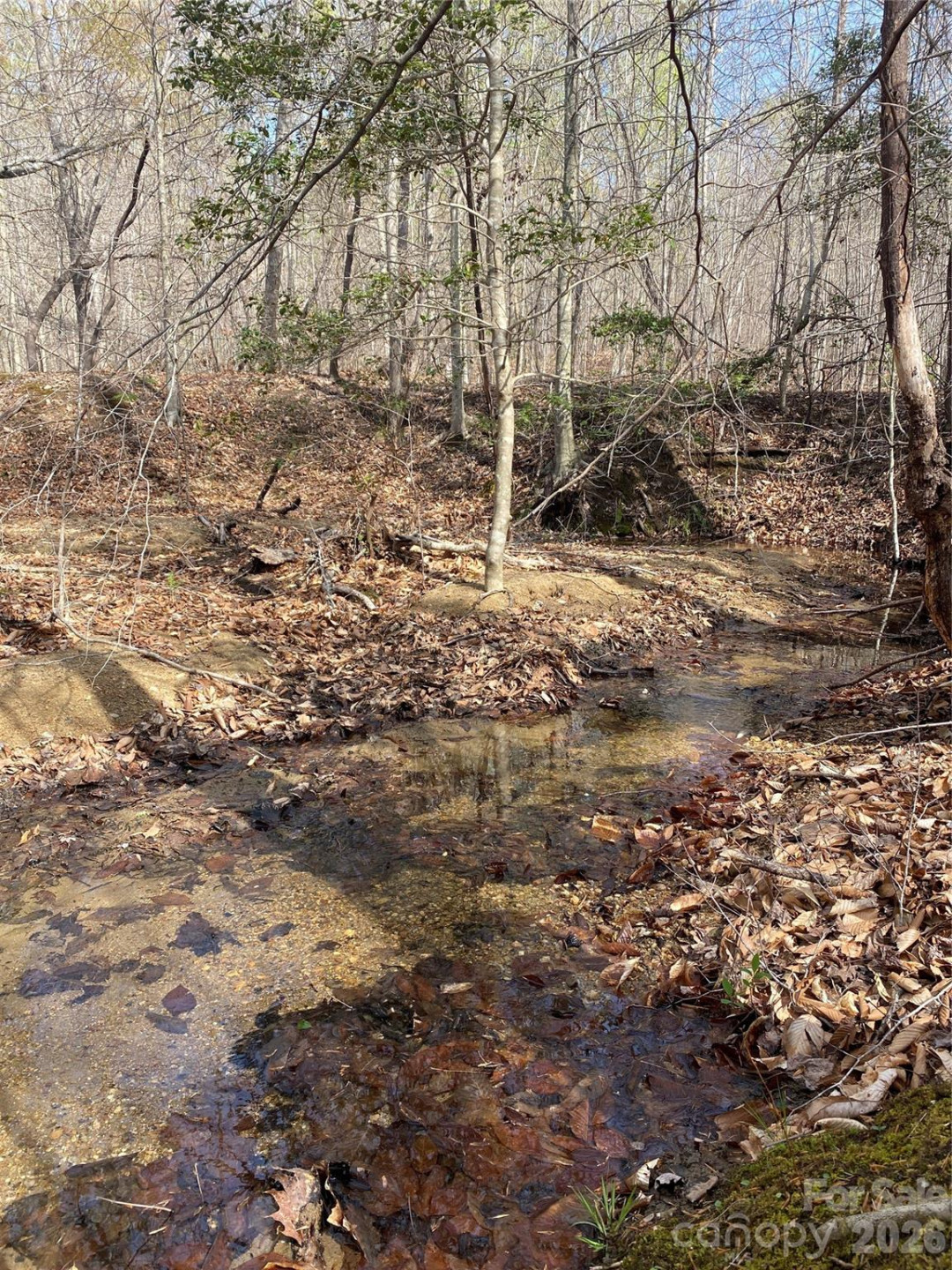 00 Cane Creek Mountain Road #2 - Photo 9