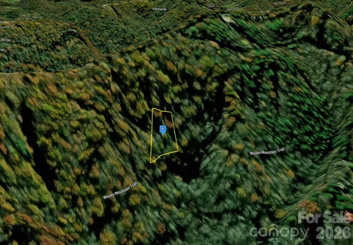 44 Greycliff Mountain Drive - Photo 2