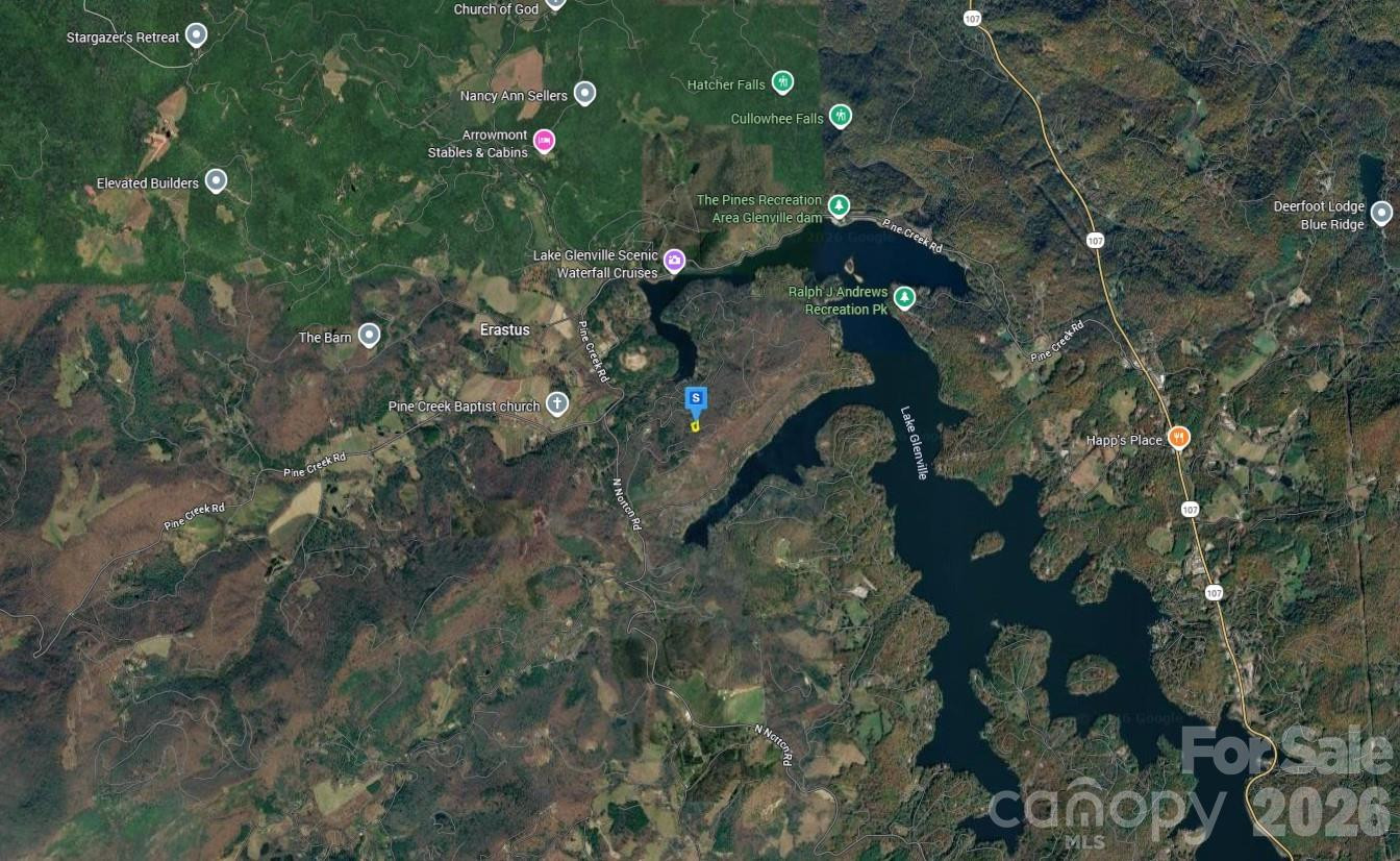 44 Greycliff Mountain Drive - Photo 3