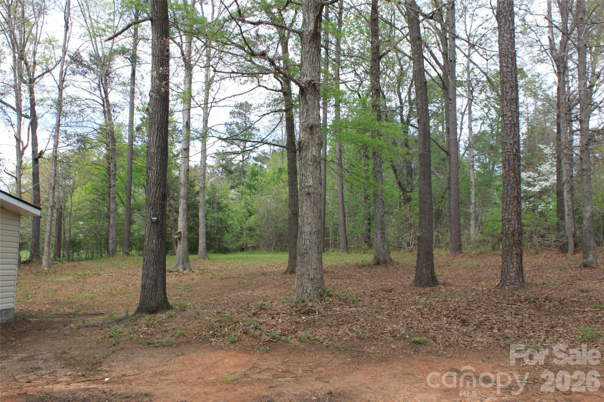 708 Goodes Creek Church Road - Photo 31