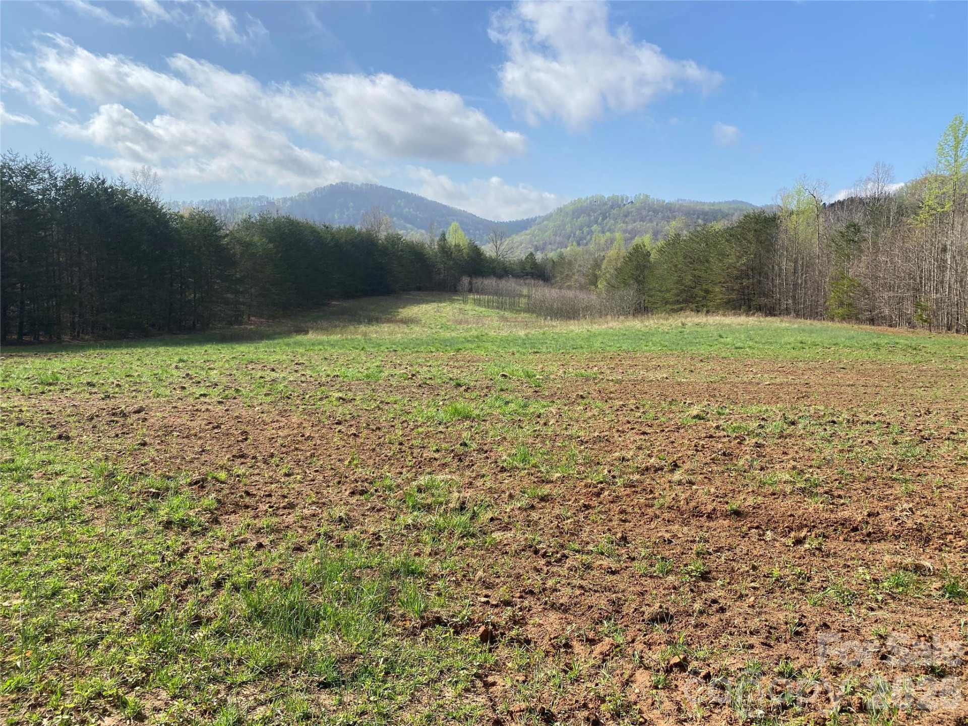 00 Cane Creek Mountain Road #1