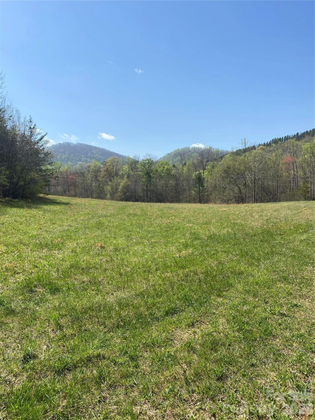 00 Cane Creek Mountain Road #1 - Photo 2