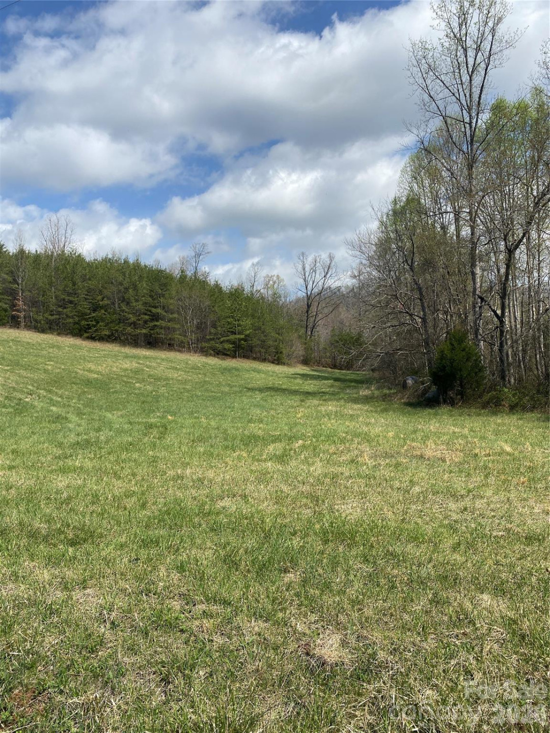 00 Cane Creek Mountain Road #1 - Photo 12