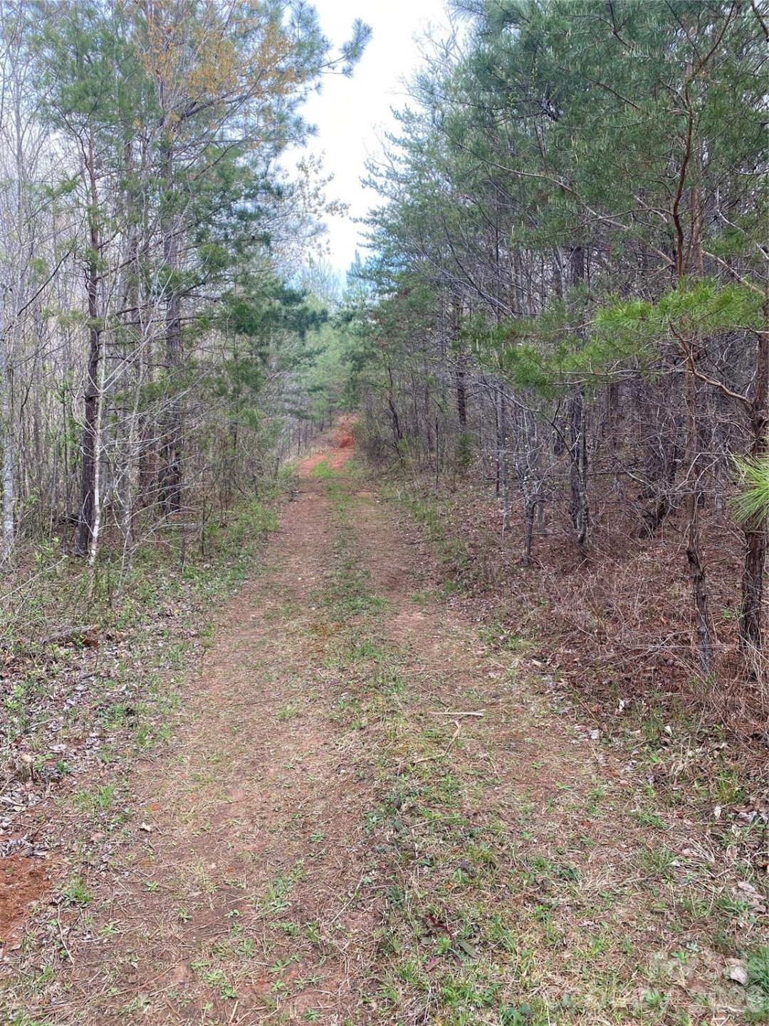 00 Cane Creek Mountain Road #1 - Photo 4