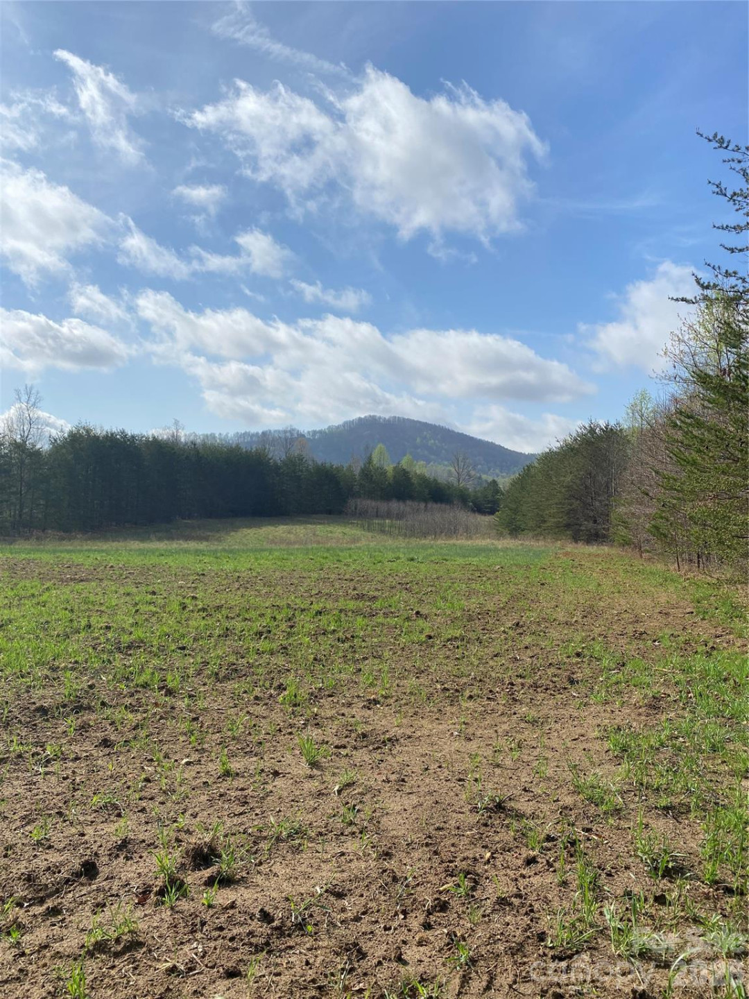 00 Cane Creek Mountain Road #1 - Photo 5